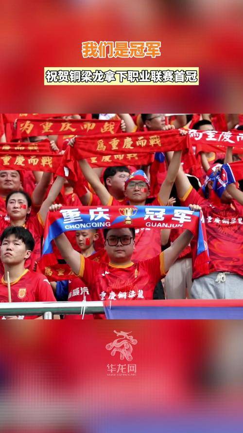 汉堡球迷热情支持球队，期待更多胜利到来的简单介绍